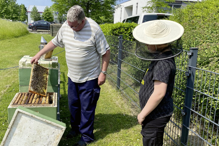 Bienenstöcke bei Wilke